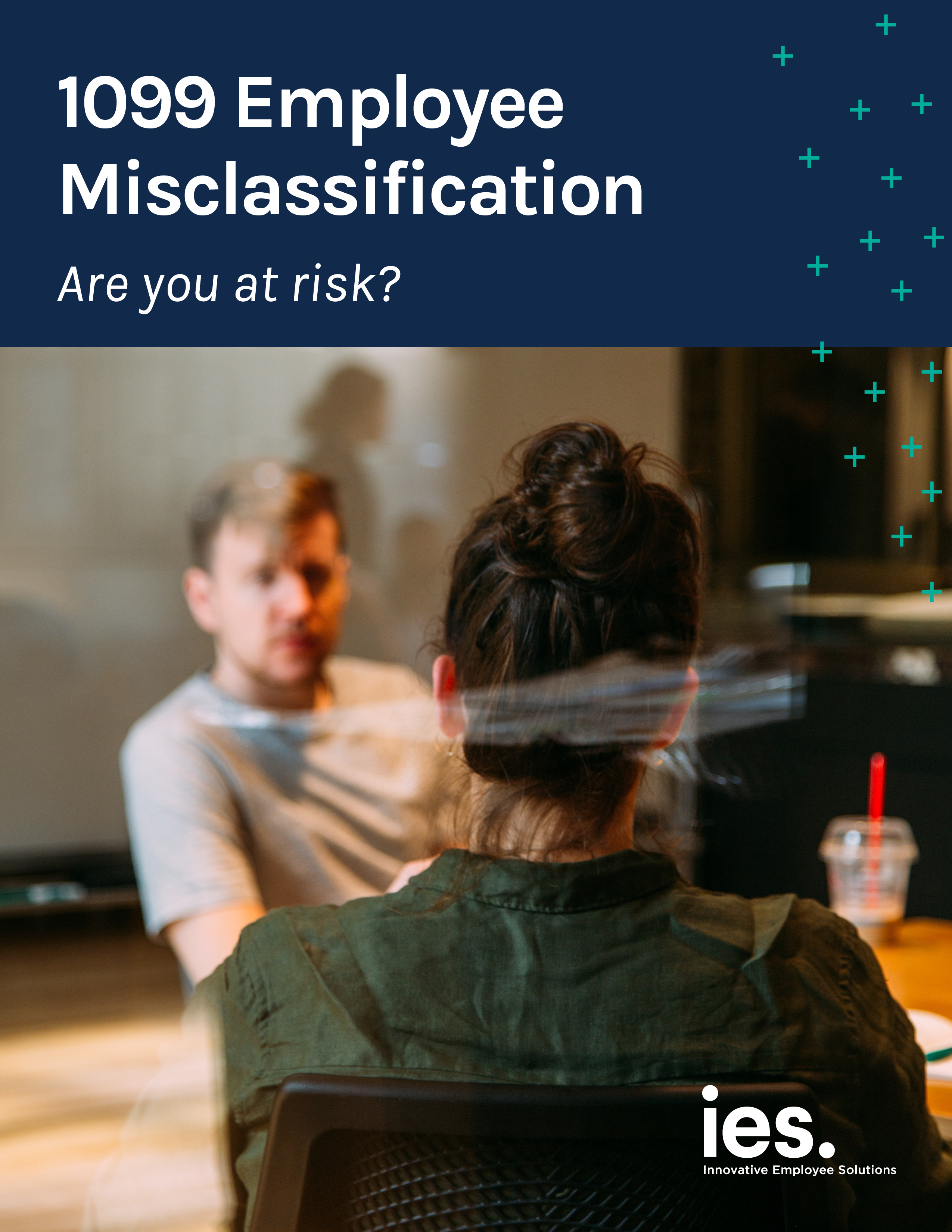 IES Risk Assessment PDF Cover